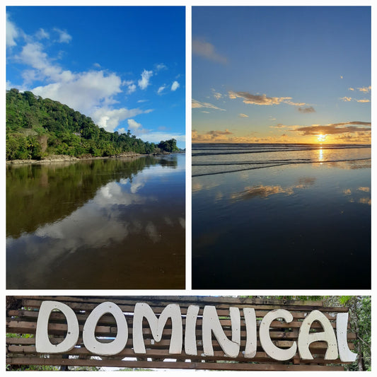 Découvrez Dominical (Fleuve Mer Montagnes Et Cascades)