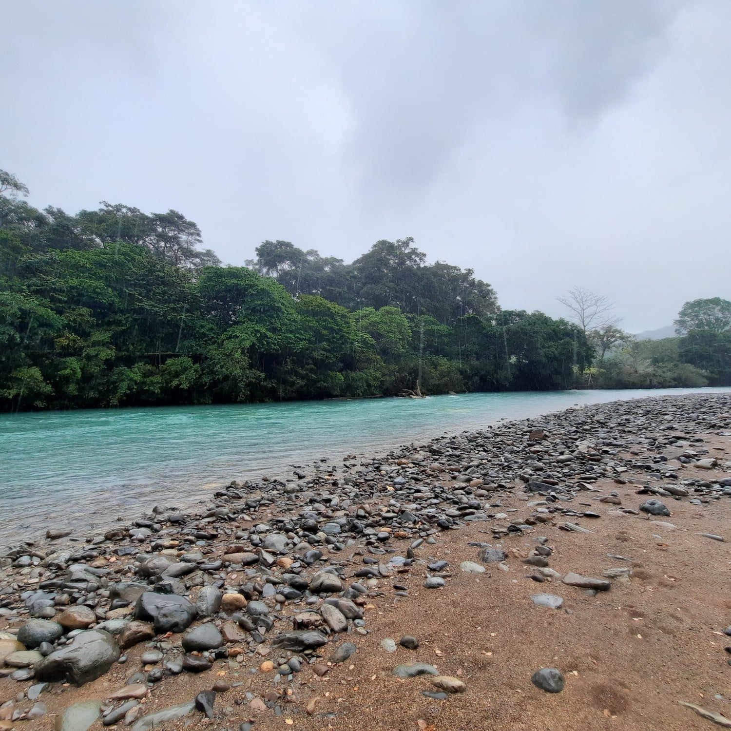 Découvrez Dominical (Fleuve Mer Montagnes Et Cascades)