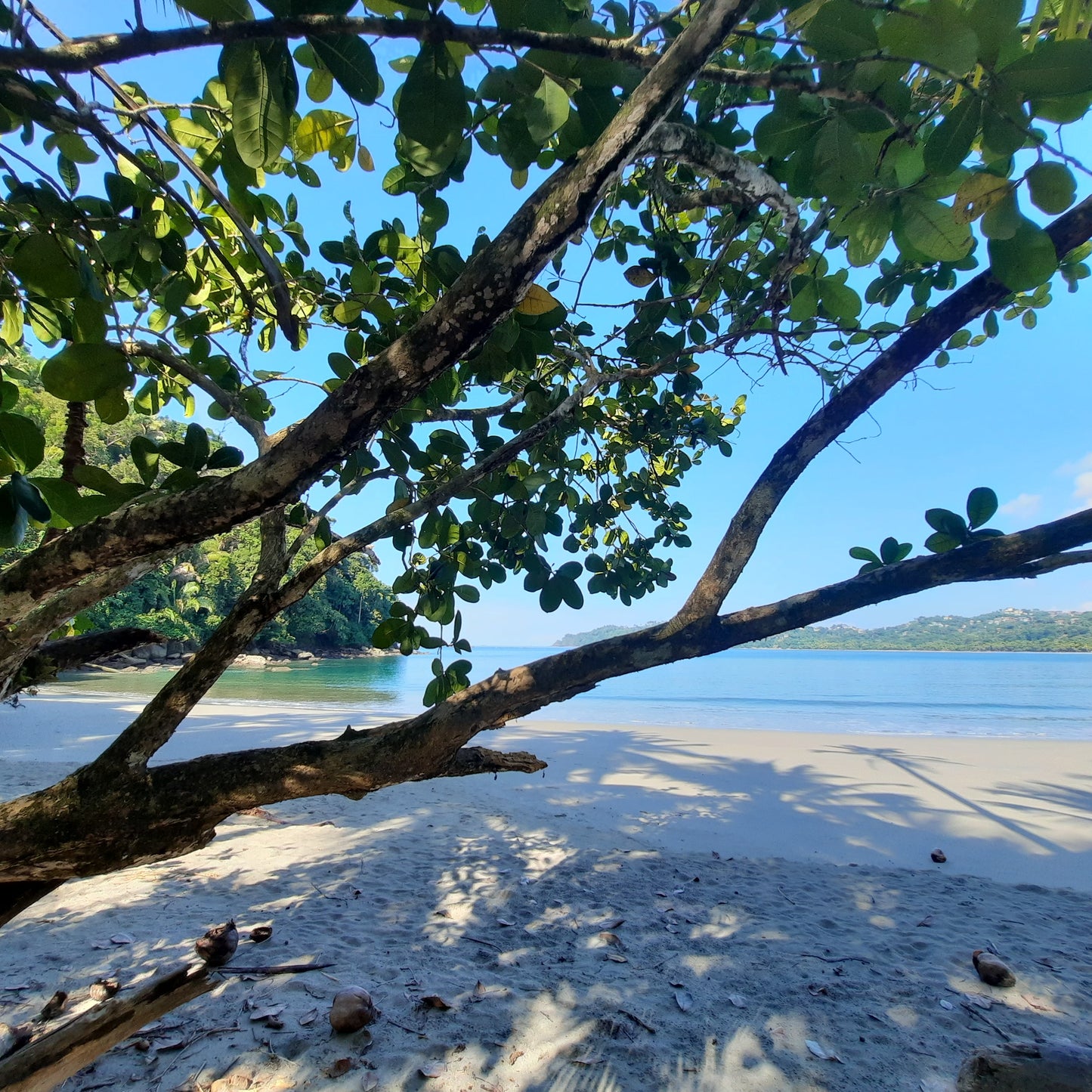 Parc National Manuel Antonio