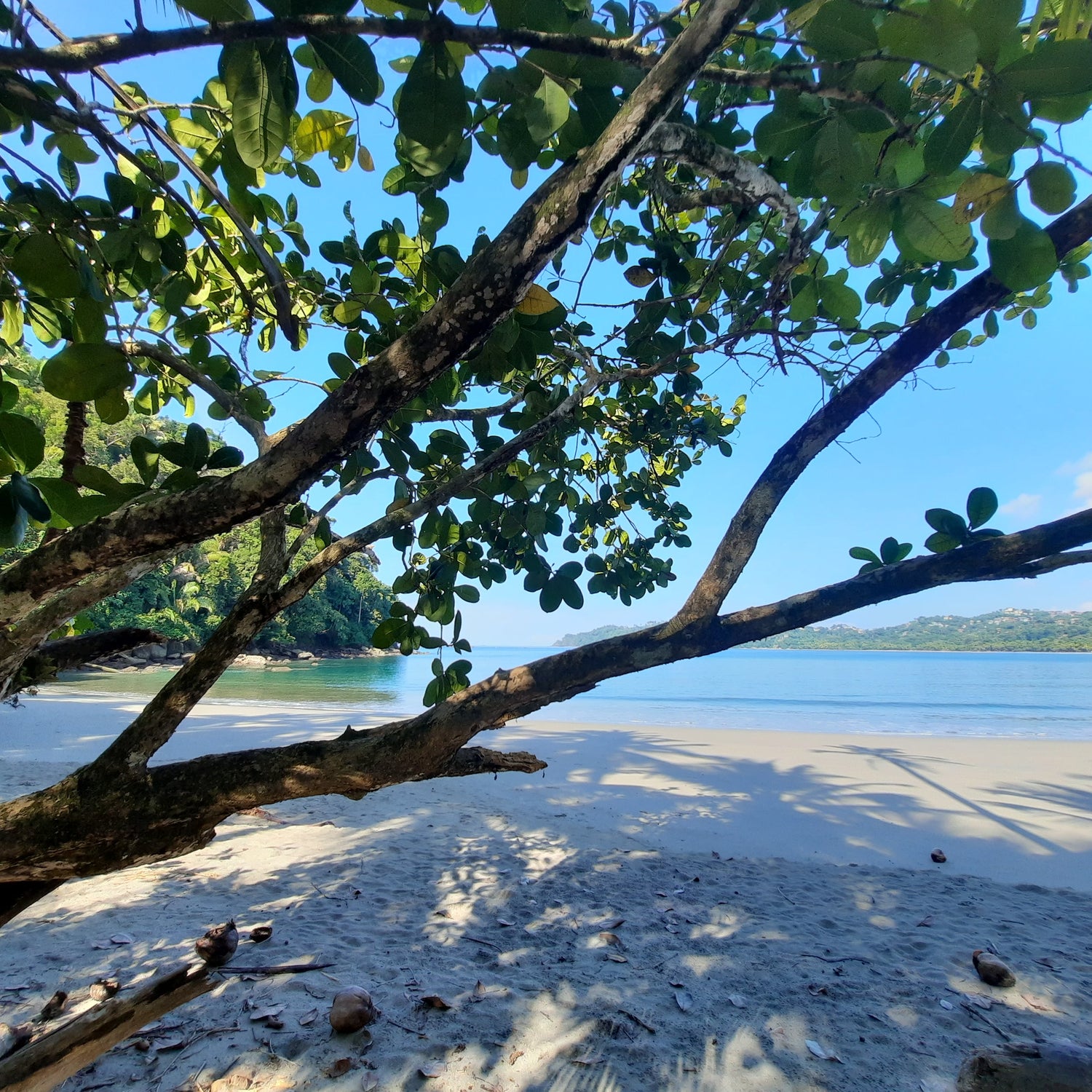 Parc National Manuel Antonio