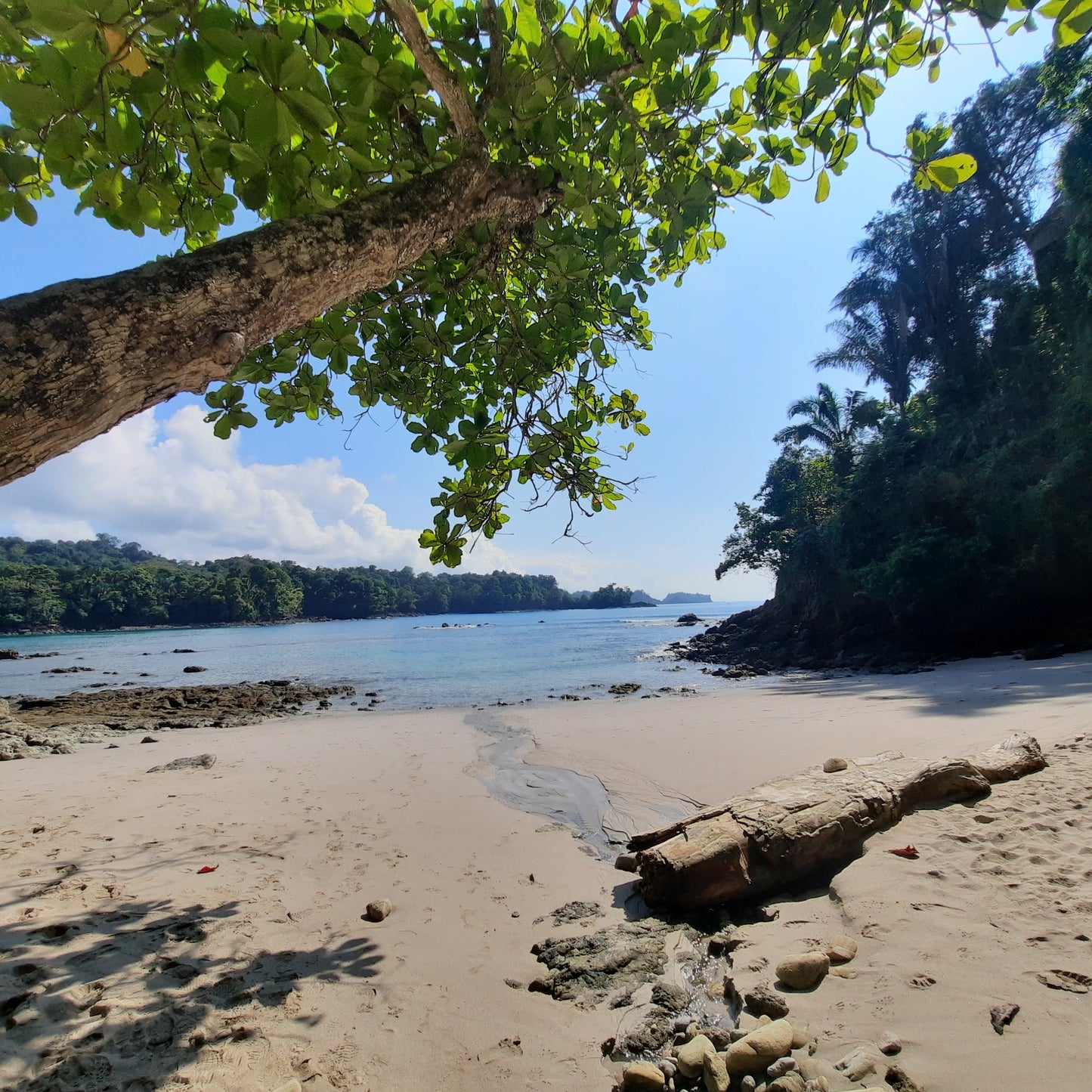 Parc National Manuel Antonio