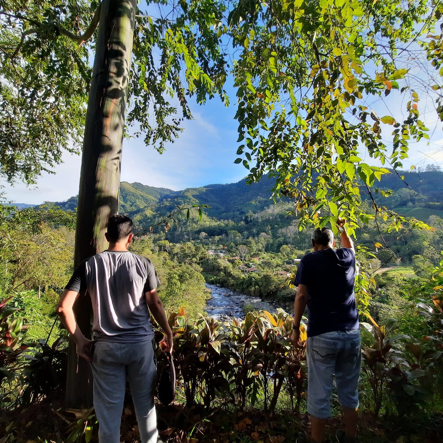 Découvrez Rivas Au Costa Rica Avec Un Guide