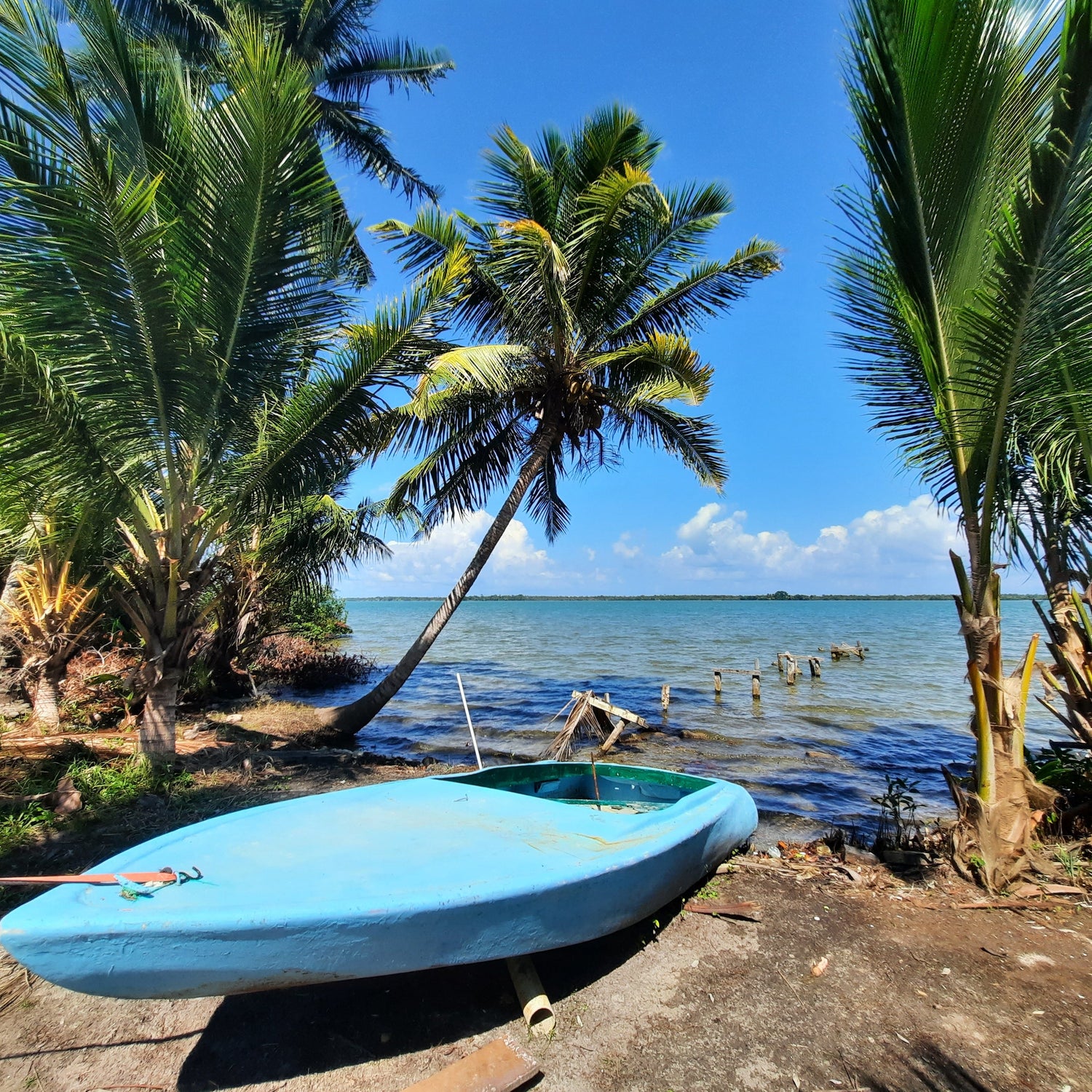 Gales Point (Belize)