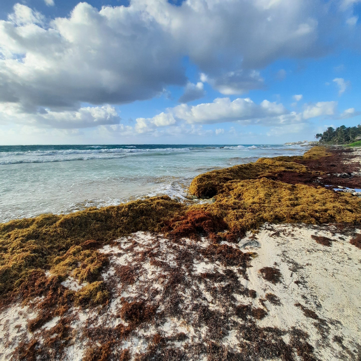 Je Me Déplace Vers Tulum