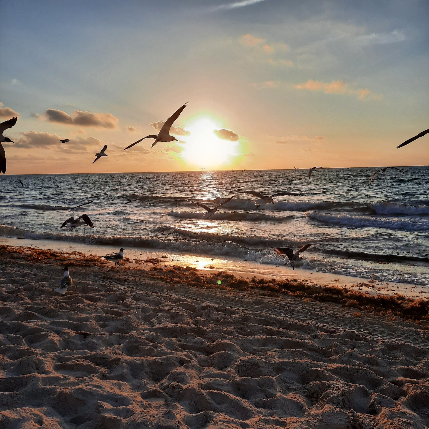 2023-04-03 Lever De Soleil (Playa Del Carmen)