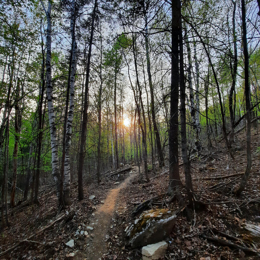 Nouveaux Sentiers Rustiques Au Mont-Bellevue (Cliquez Pour Voir Le Sentier)