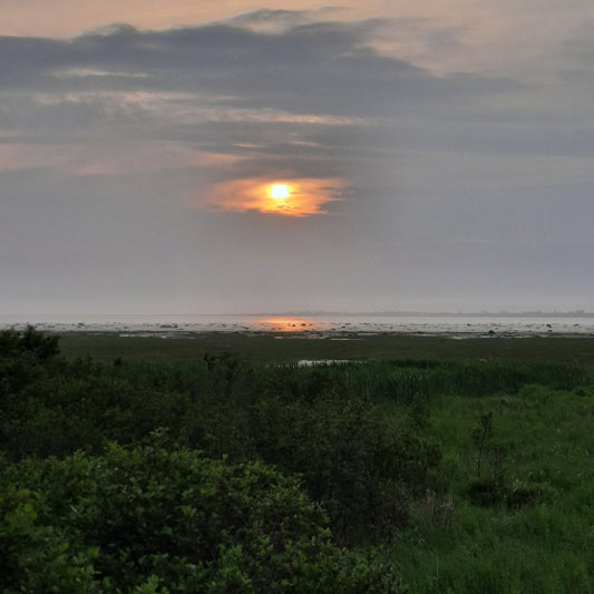 Coucher De Soleil À Cacouna