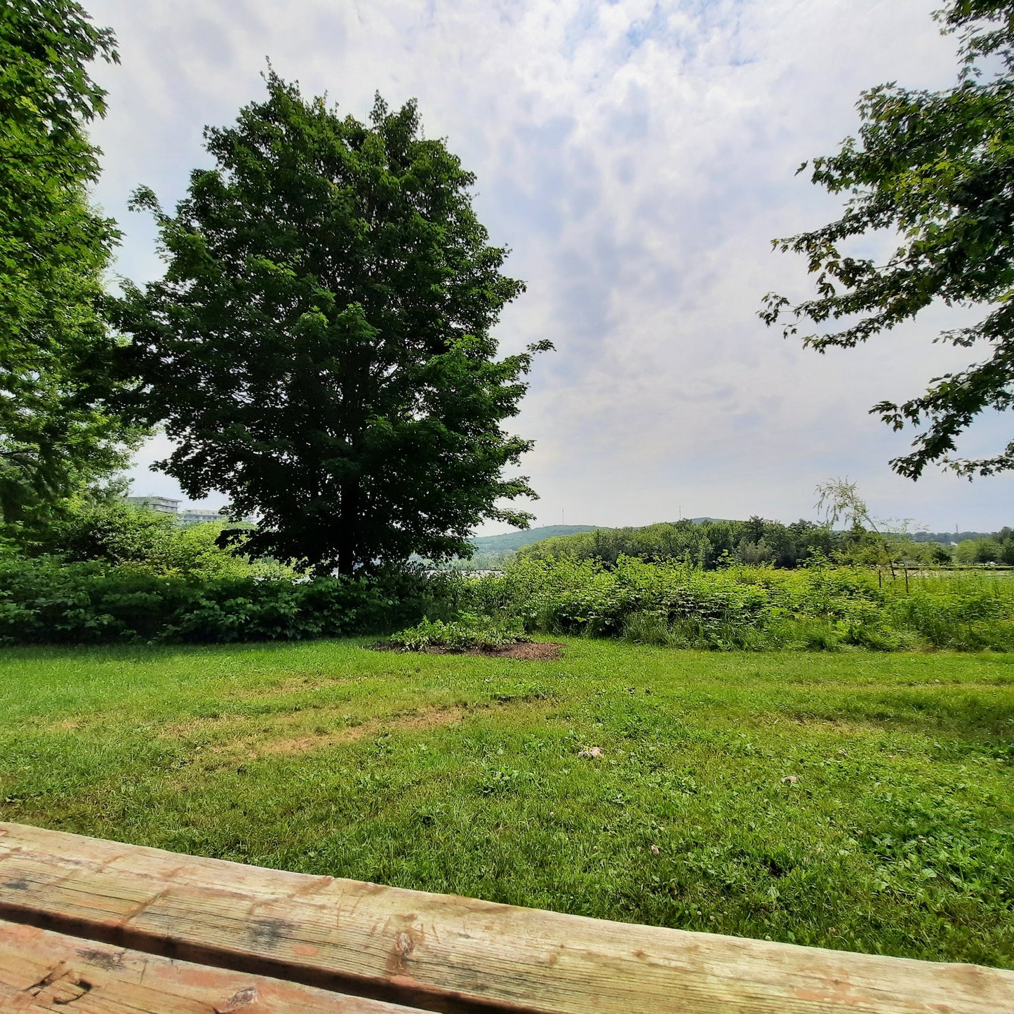 Le Banc A Disparu (Vue Bp10)