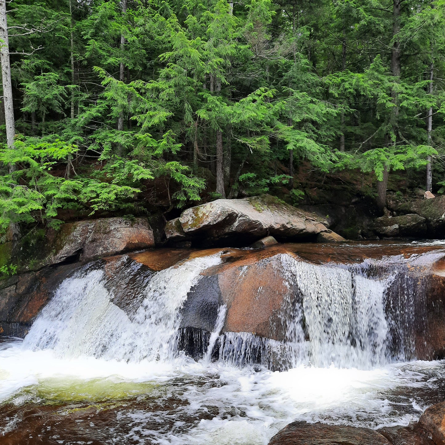 Screw Auger Falls Maine (Usa)