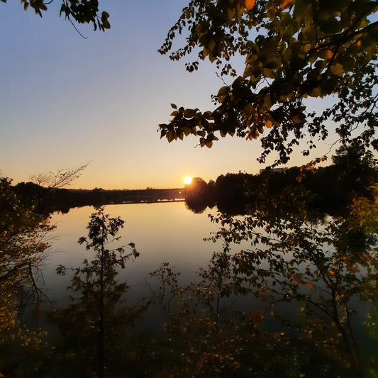 2023-09-30 (Vue 2.3) Coucher De Soleil