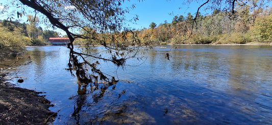 2024-09-29 11:49 Magog River in Sherbrooke (Find the power station) (View Q4)