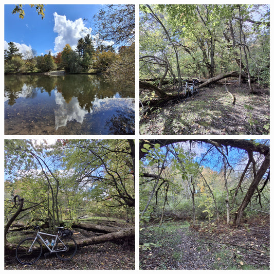 2024-10-05 Magog River (Big Tree View 1)