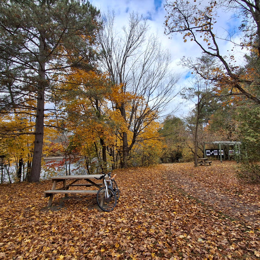 2024-10-26 Rest area photo space Sherbrooke (View Table 1)