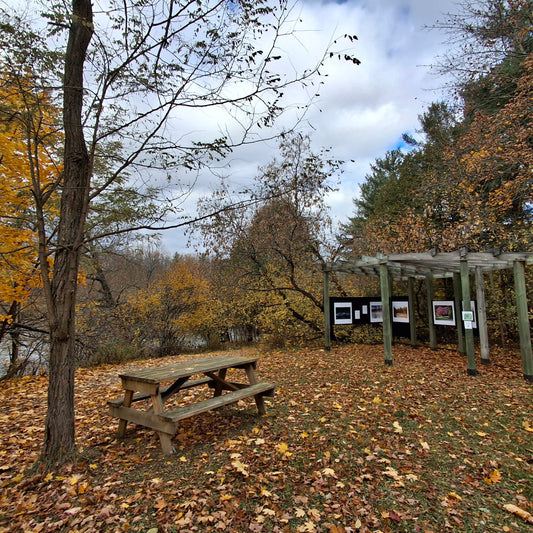 2024-10-26 Rest area photo space Sherbrooke (View Table 2)