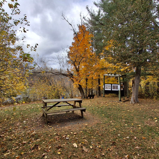 2024-10-26 Rest area photo space Sherbrooke (View Table 3)