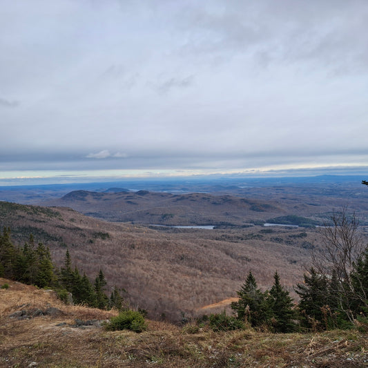 2024-10-27 (View of Mount Orford)