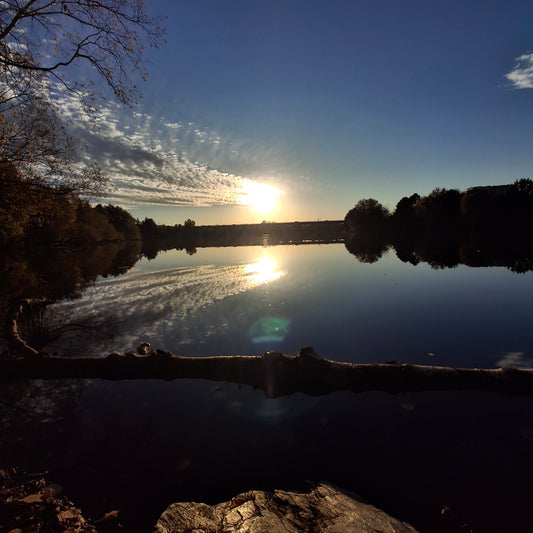 2025-10-11 17:30 (Vue 1)