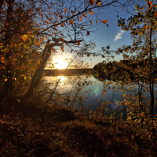 2025-10-11 17:43 (Vue 0)