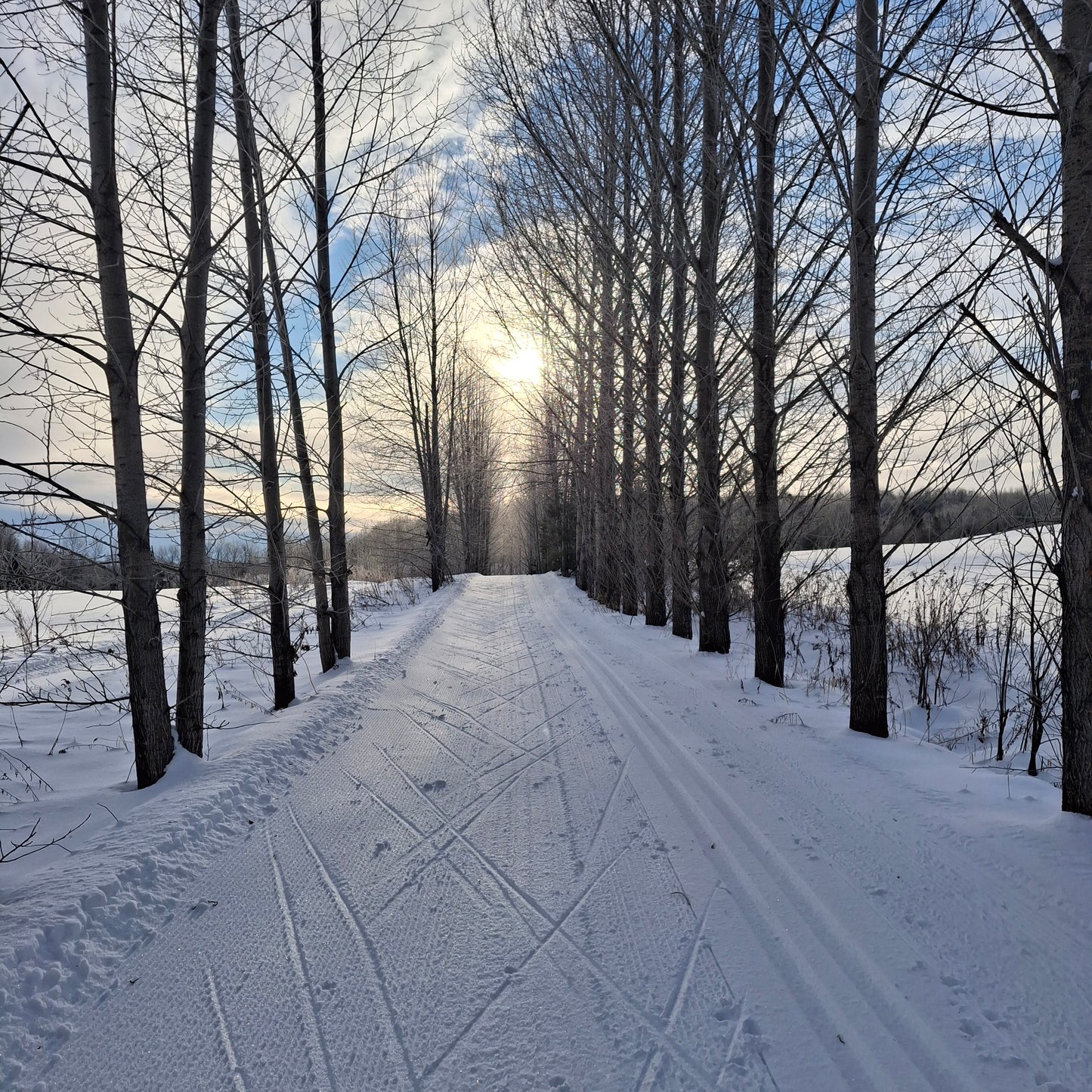 Cross-country skiing