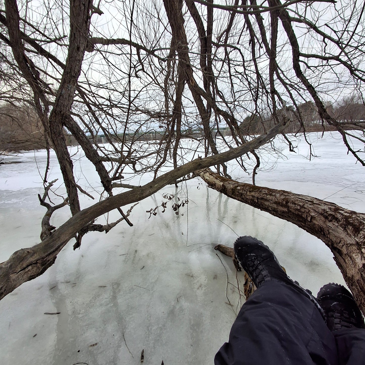 2025-12-20 13:41 (View C1)