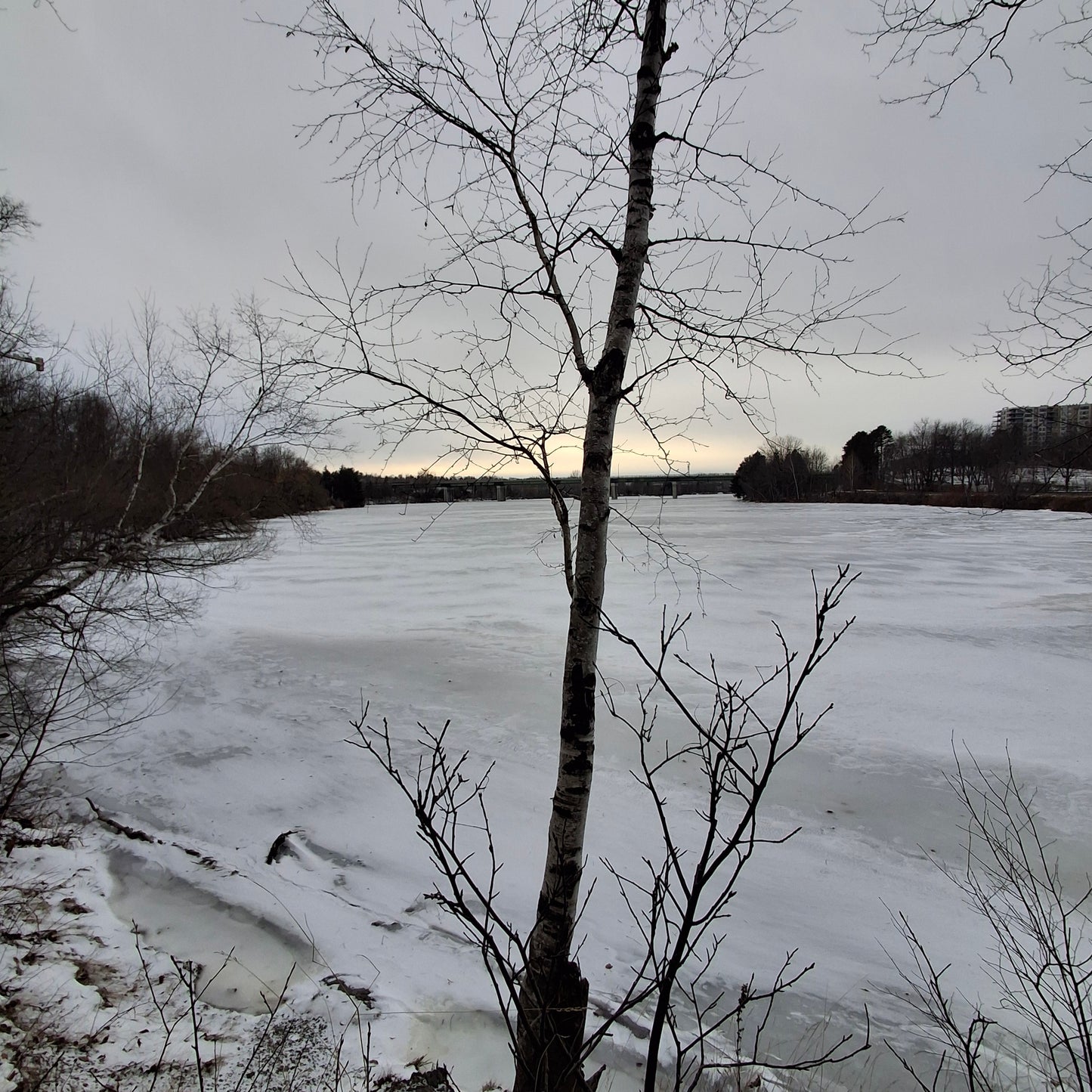 2025-12-20 (View 2.1)