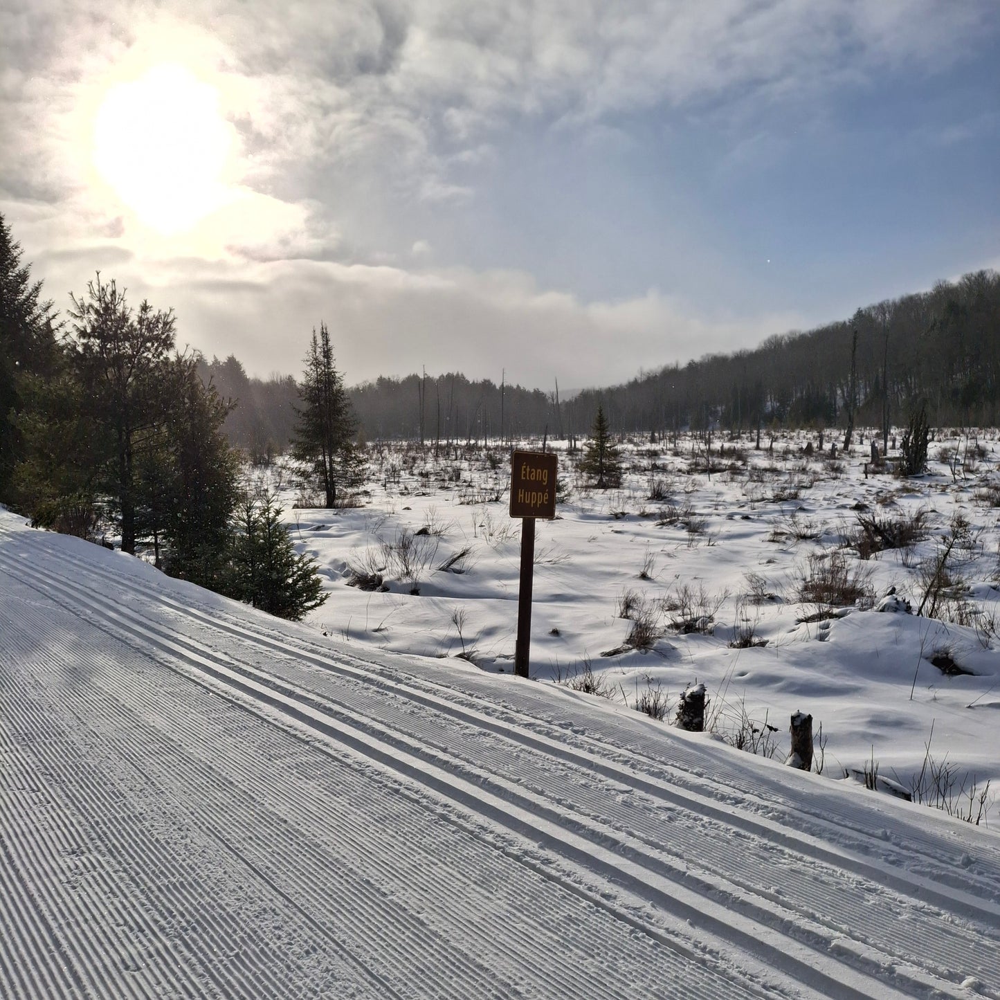 2025-12-22 (Huppé Pond)