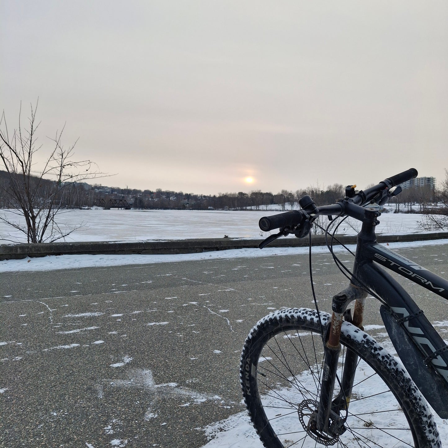 2025-12-22 (Vue Banc Poisson 1)