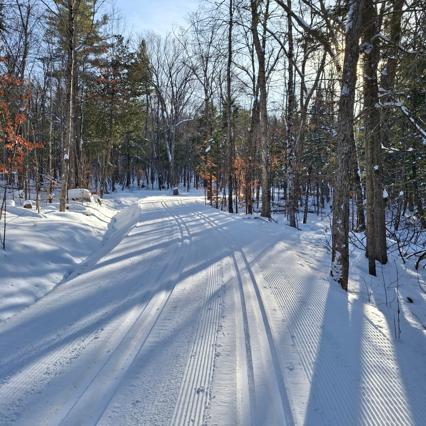 2025-12-28 Cross-country skiing in Orford