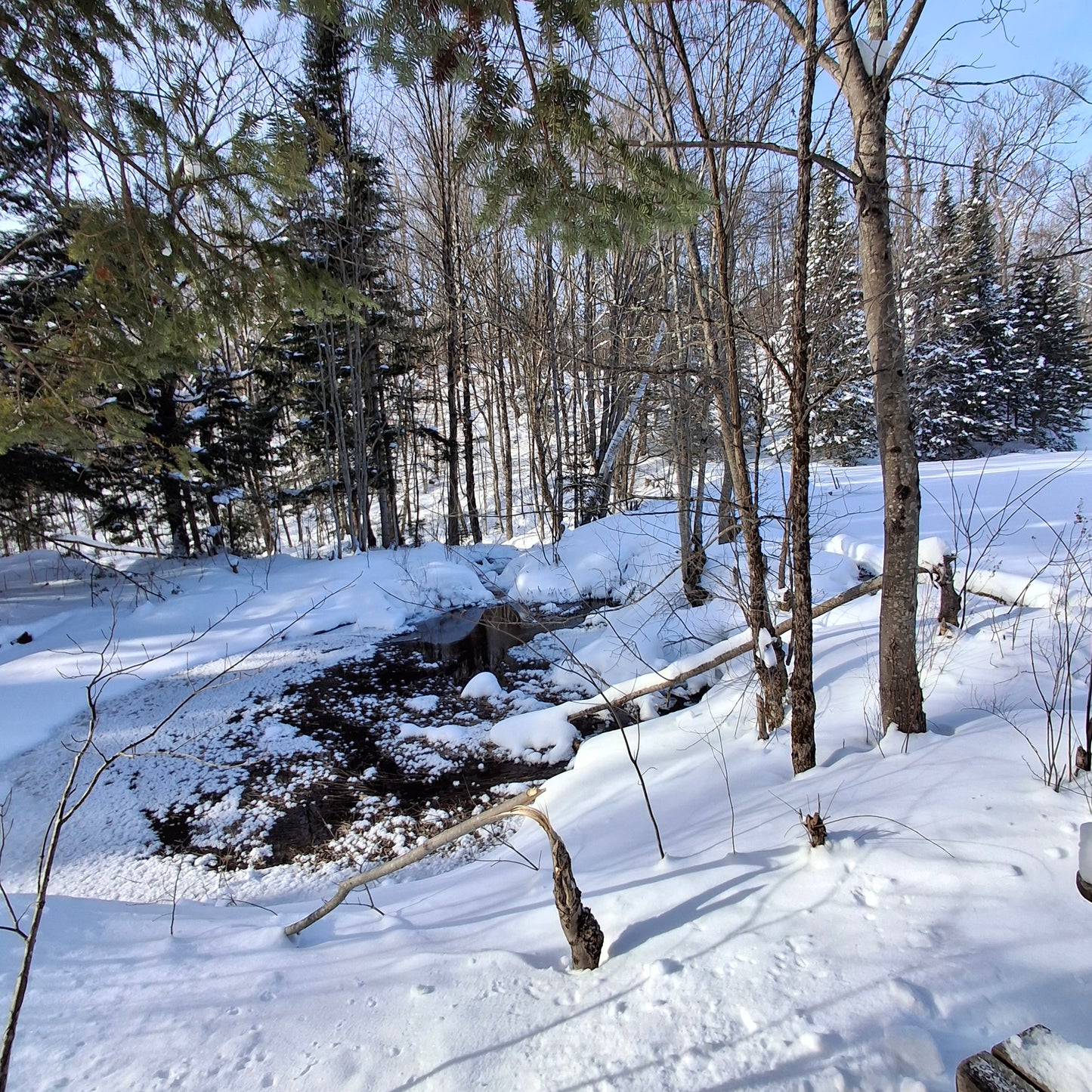 2025-12-28 Cross-country skiing in Orford