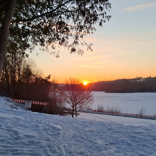 Bon Voyage Guylaine Larone (1963 - 2026) in Sherbrooke - 62 years old