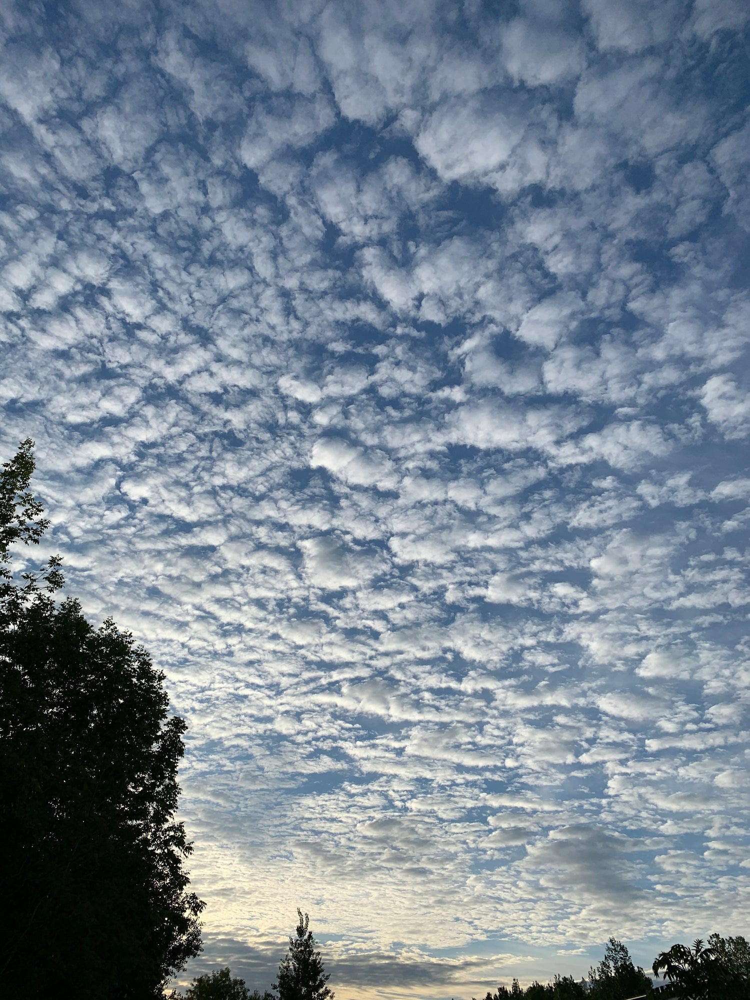 30 Mai 2021 Nuages