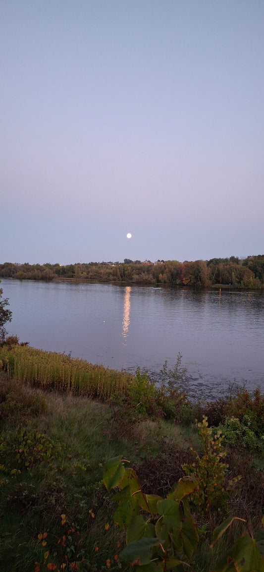 2024-09-16 19:19 (Moon View)